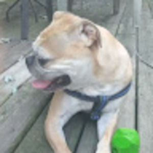 Meet your Posher, Austin